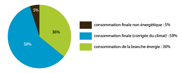 consommation totale d'énergie primaire par usage (consommation de la branche énergie - consommation finale énergétique (corrigée du climat) - consommation finale non énergétique)