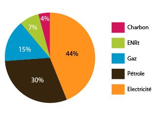 Consommation totale d'énergie primaire en France 2012 en Mtep et % (Charbon - Pétrole - Gaz - Électricité - ENRt)