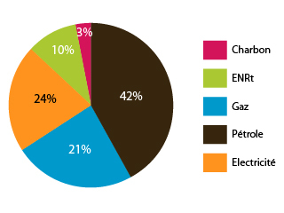 Consommation d'énergie finale en France 2012 en MTep et % (Charbon - Pétrole - Gaz - Électricité)