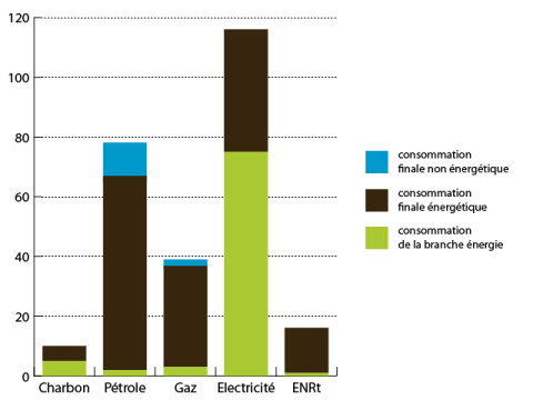 Filières énergétiques selon usages (Consommation finale non énergétique - Consommation finale énergétique - Consommation de la branche énergie)